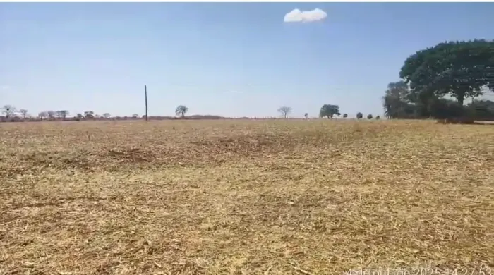 Fazenda a venda, em Cezarina - Goiás!!!