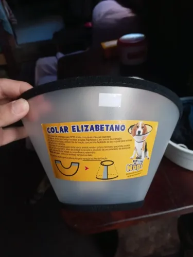 Colar Elizabetano para Pets