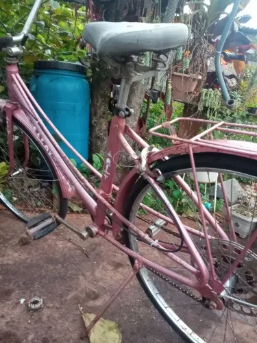 Bicicleta Ceci caloi