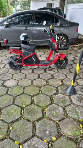 Scooter WD2 1.000w