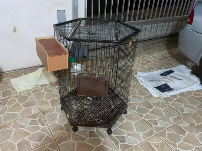 Gaiola de passarinho