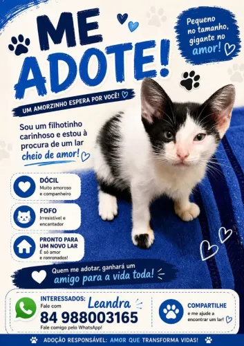 Adoção urgente