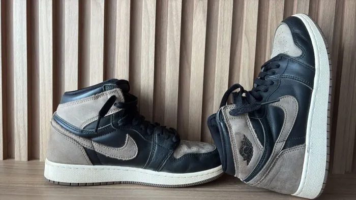 Air Jordan 1 High Og Palomino nº 37