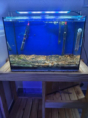 Aquário Completo - Pronto para Usar 43L