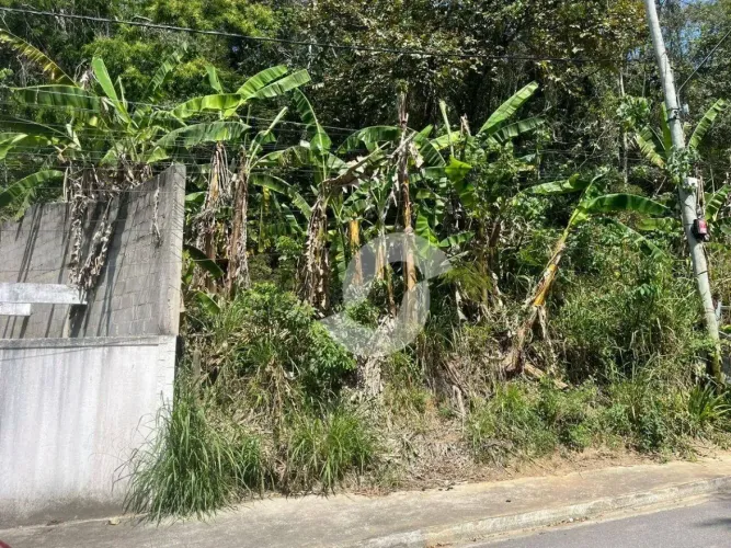 Terreno à venda, 1980 m² por R$ 100.000,00 - Várzea das Moças - Niterói/RJ