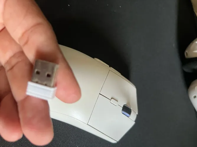 Mouse smalLwolf rs7