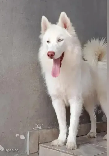 Luna esta a procura um namorado 