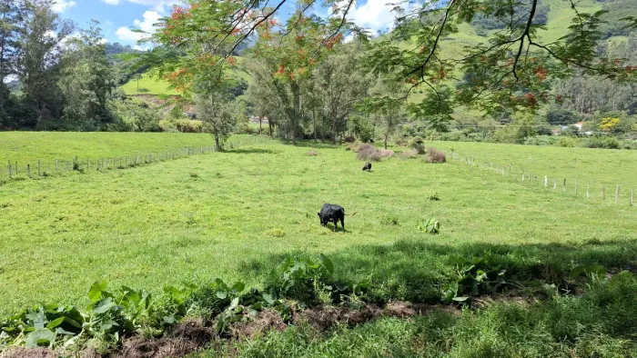 Terreno 9.000m²,Itajubá Mg
