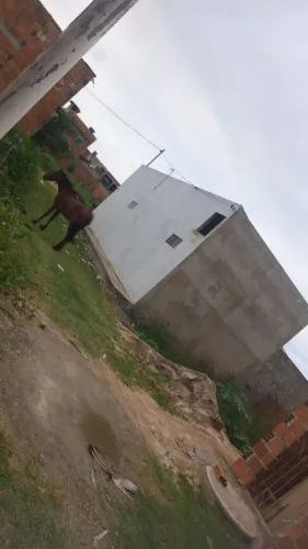 Terreno pra vender nu rubalo perto do povoado São José medindo 9 por 20