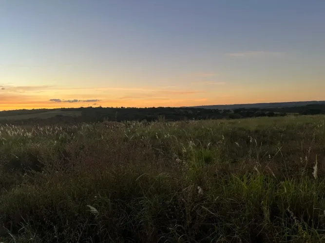 Fazenda para venda Uberaba