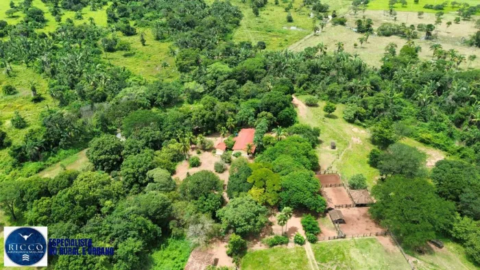FAZENDA À VENDA EM JUSSARA GOIÁS | 102 ALQUEIRES | DUPLA APTIDÃO