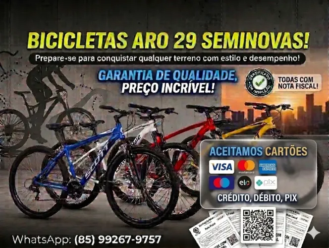 Bike aro 29
