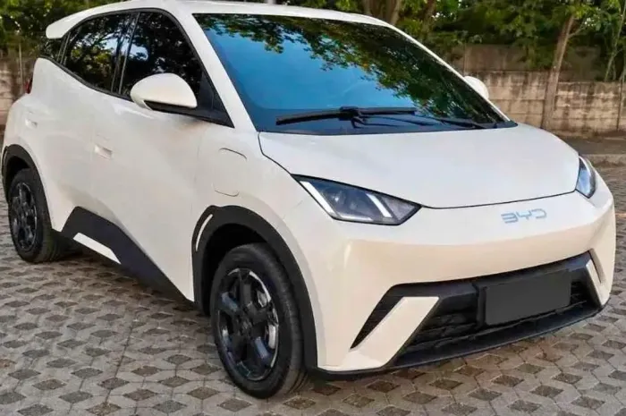 BYD Dolphin Mini (Elétrico) 2025
