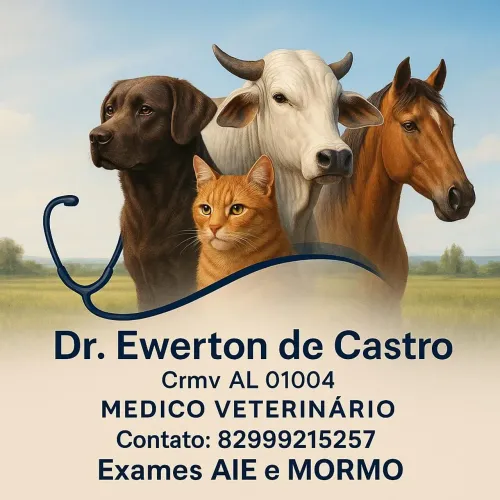 Medico veterinario domiciliar