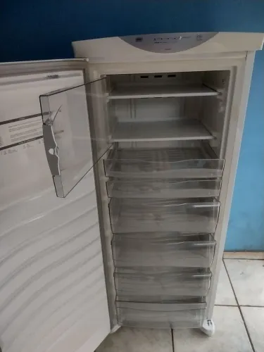 Freezer Brastemp Frost Free 239 litros w110