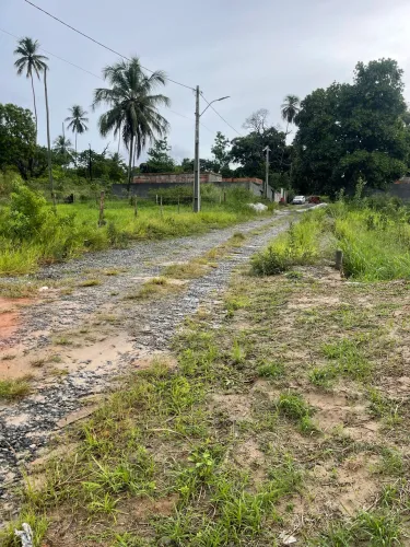 Terreno em monte gordo