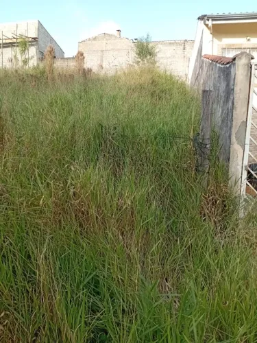 Terreno centro