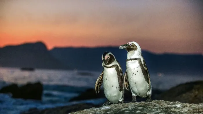  Freelance em trabalhos no excel