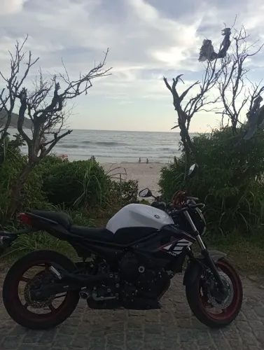 XJ6 Branco