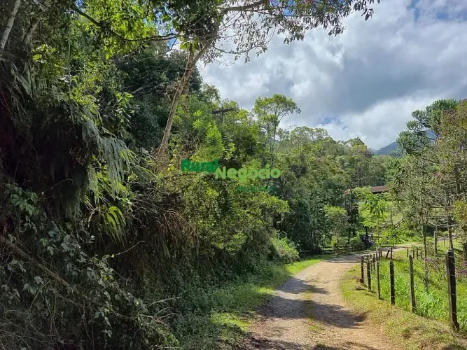 TERRENO NA SERRA COM VISTA PANORÂMICA PARA PICO DE ITATIAIA-RJ