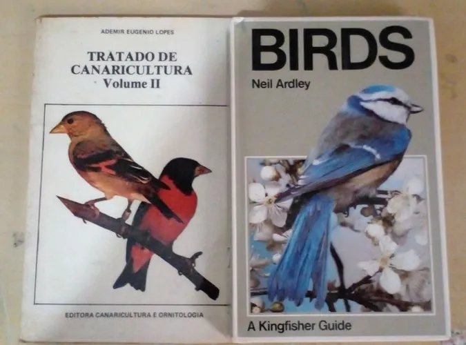 LOTE COM 03 LIVROS DIVERSOS E EM PERFEITO ESTADO 