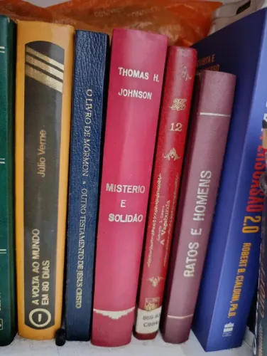 Lote de Livros