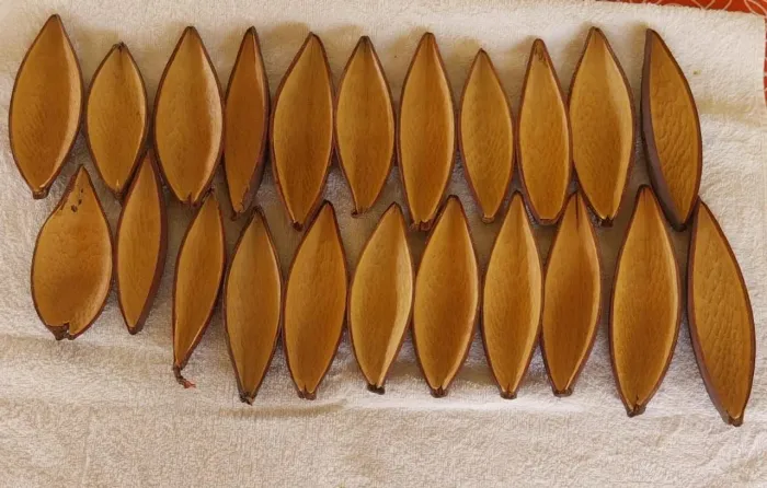 22 Cascas Canoinha do Cerrado Natural