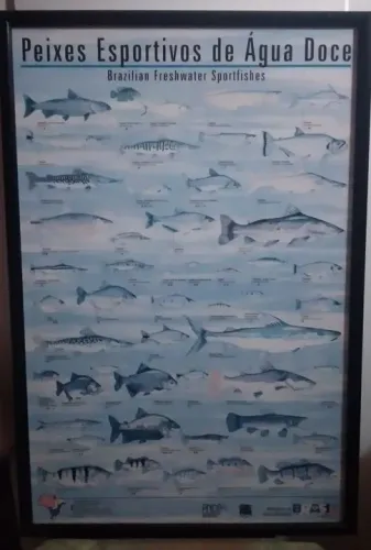 Quadro 