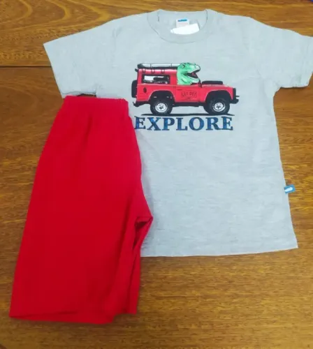 Camiseta Infantil Dinossauro Com Bermuda - Tamanho 4 Anos