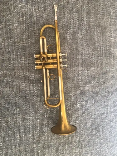 Trompete com bolsa para transporte + lubrificador de pistões + metal polisher 