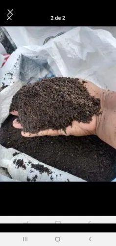 Terra Adubo Orgânico para Plantas