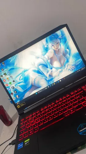 Notebook gamer