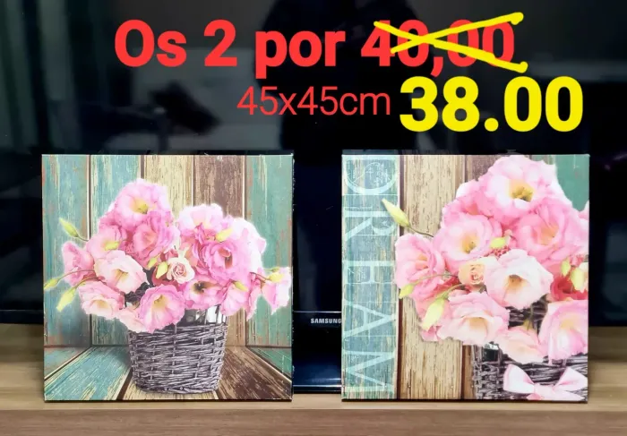 Quadros decorativos 45x45cm - Flores Lindos valor 35.00 