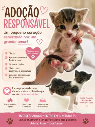 Doa-se gatinho