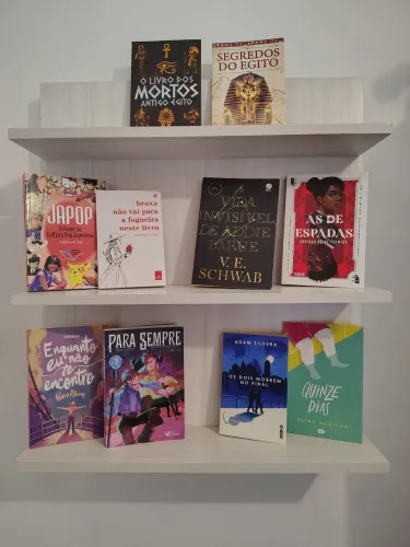 Livros usados em excelente estado - V.E. Schwab, Adam Silvera e mais