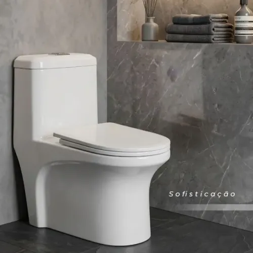 vaso sanitario