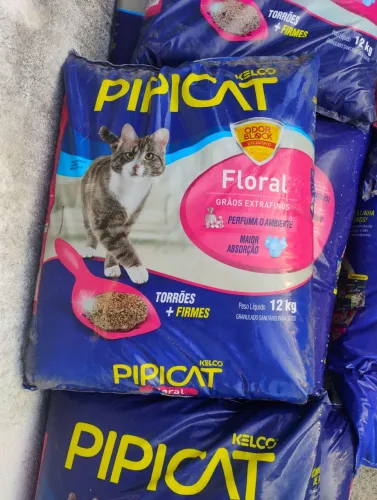 Areia de gato