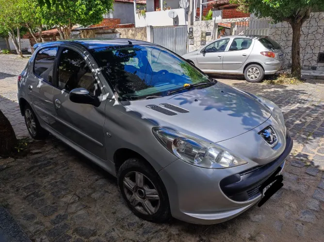 Peugeot 207 XR 1.4 Flex 8V 5P 2009