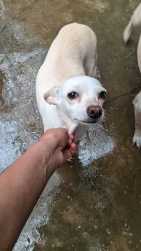 Doação!!