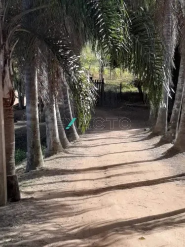 chácara - Centro - Socorro