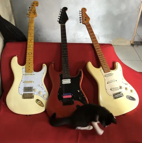 3 Guitarras Strato - Leia!!!