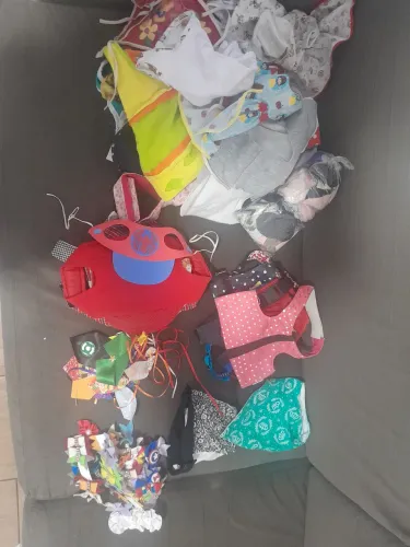 Vários acessórios pet