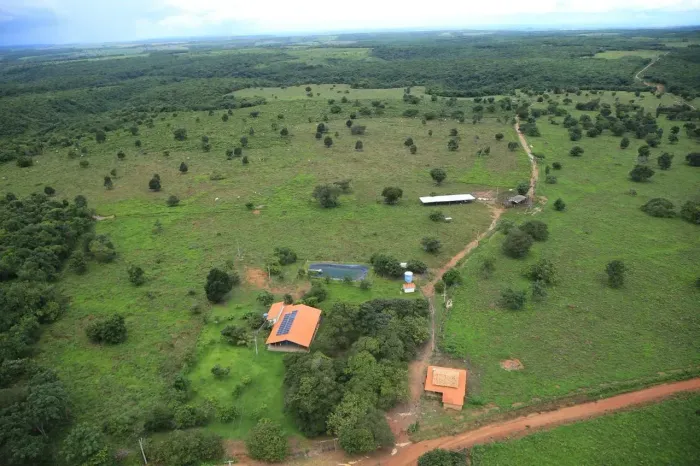 FAZENDA PRODUTIVA EM POÇÃO DE PEDRAS/ 220 HECTARES
