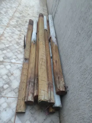 Escoramento Madeira de Eucalipto Tratada