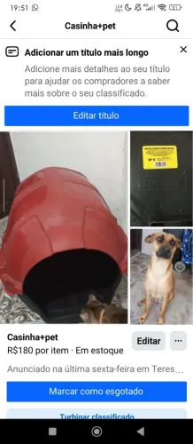 Casinha pet