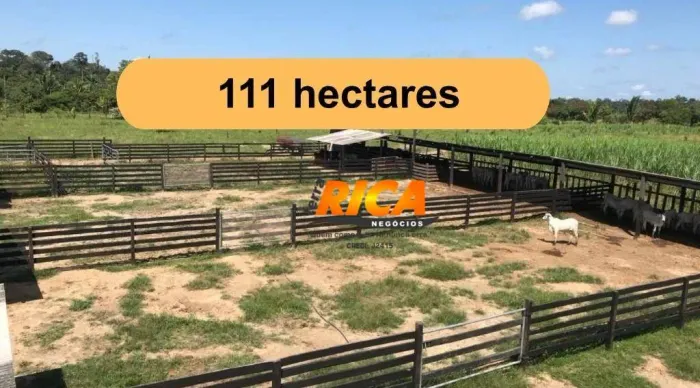 Vende-se Fazenda com 111 Hectares no município de Canutama/AM