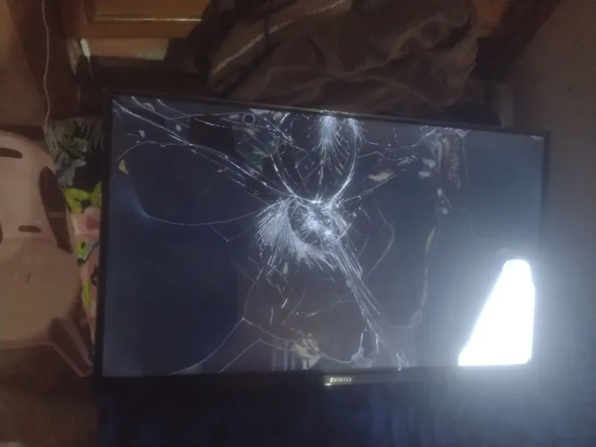 Vendo televisão