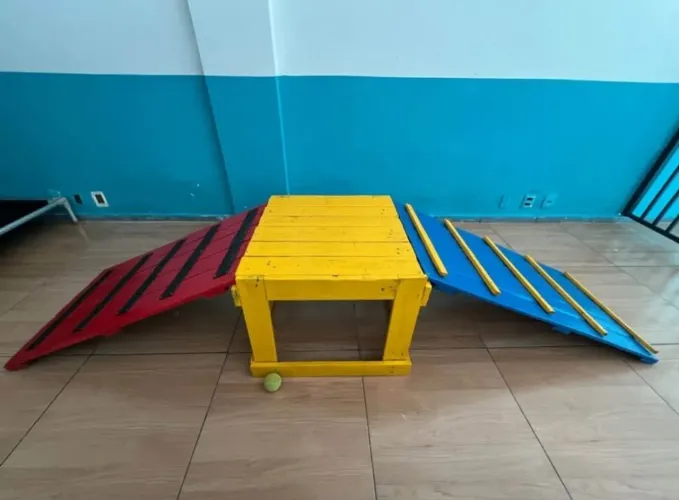 Rampa para hotel/creche pet