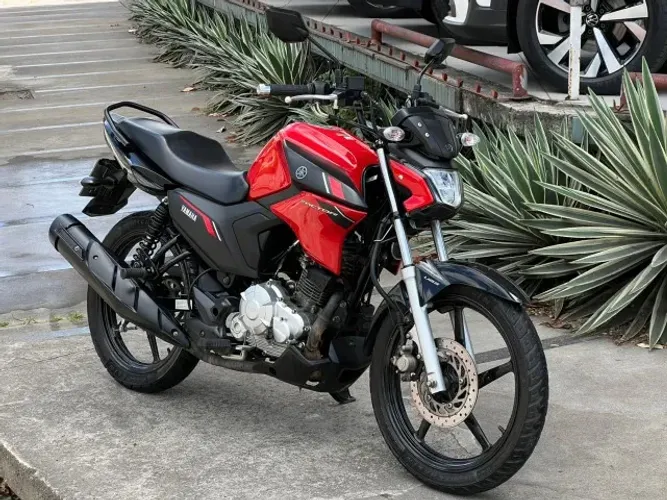 FACTOR 150 2025