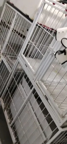 Monte seu pet shop